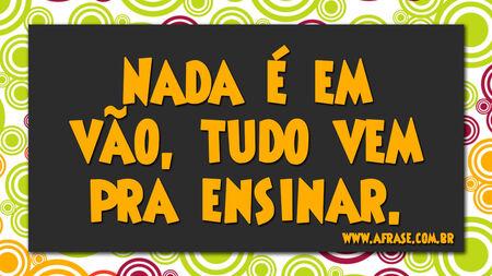 Nada é em vão, tudo vem pra ensinar.