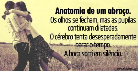 Anatomia de um abraço. 
Os olhos se fecham, mas as pupilas continuam dilatadas.
O cérebro tenta desesperadamente parar o tempo. 
A boca sorri em silêncio.