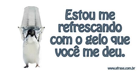 Estou me refrescando com o gelo que você me deu.