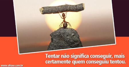 Tentar não significa conseguir, mais certamente quem conseguiu tentou.