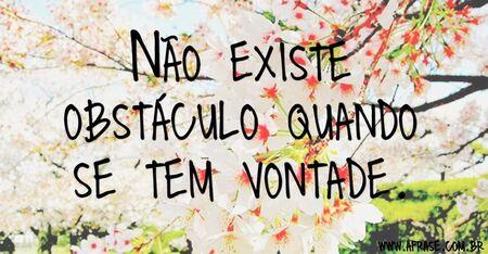 Não existe obstáculo quando se tem vontade.