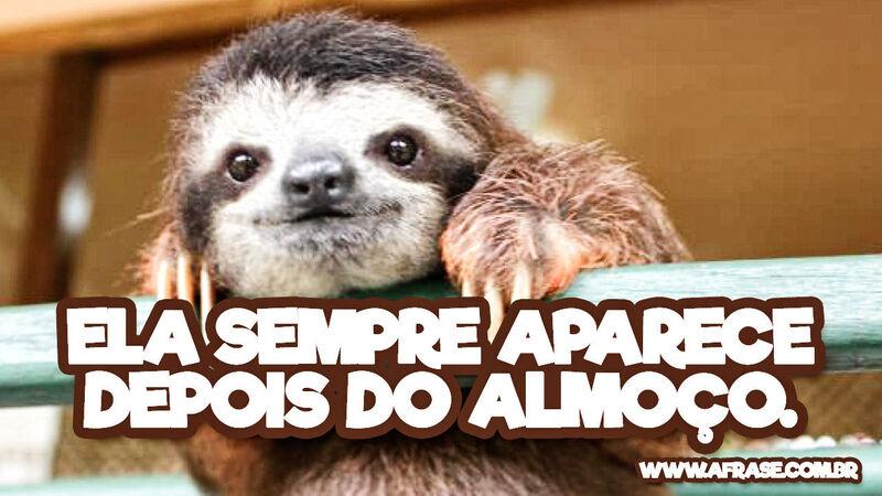 Ela sempre aparece ... Frases de Humor.