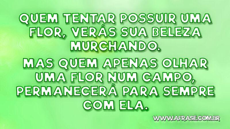 Quem tentar possuir uma flor, verás sua beleza ... - Frases de Beleza