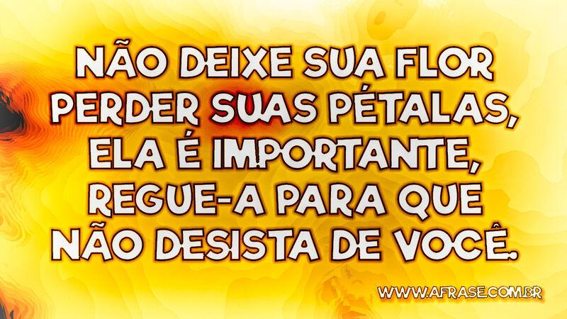 Não deixe sua flor perder suas pétalas... - Frases de Reflexão.