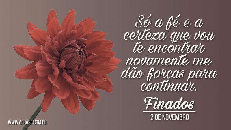 Só a fé e a certeza que vou te encontrar... - Frases de Finados.