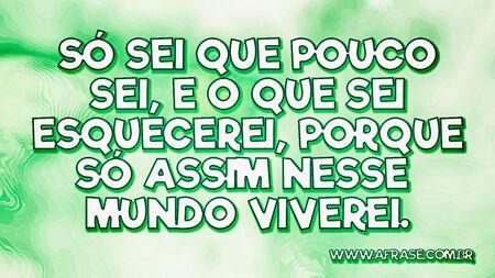 Só sei que pouco sei, e o que sei esquecerei, porque só assim nesse mundo viverei.