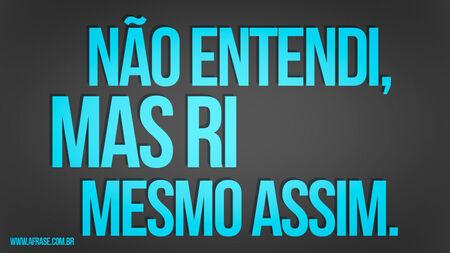Não entendi, mas ri mesmo assim.