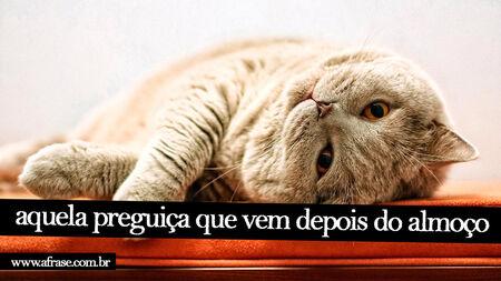 Aquela preguiça que vem depois do almoço.