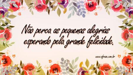 Não perca as pequenas alegrias esperando pela grande felicidade.