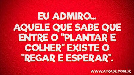 Eu admiro...
Aquele que sabe que entre o "plantar e colher" existe o "regar e esperar".