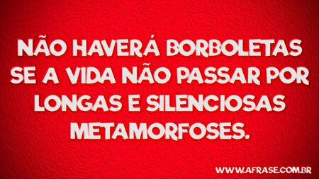 Não haverá borboletas se a vida não passar por longas e silenciosas metamorfoses.