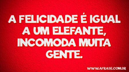 A felicidade é igual a um elefante, incomoda muita gente.