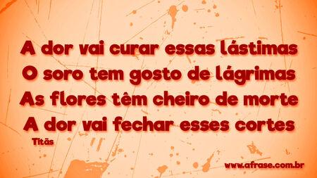 A dor vai curar essas lástimas
O soro tem gosto de lágrimas
As flores têm cheiro de morte
A dor vai fechar esses cortes