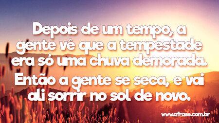 Depois de um tempo, a gente vê que a tempestade era só uma chuva demorada.
Então a gente se seca, e vai ali sorrir no sol de novo.