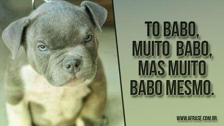 To babo, muito babo, mas muito babo mesmo.