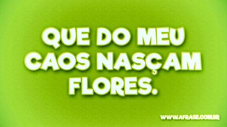 Que do meu caos nasçam flores.