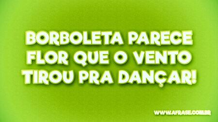 Borboleta parece flor que o vento tirou pra dançar!