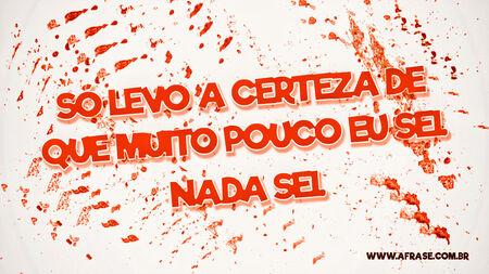 Só levo a certeza de que muito pouco eu sei.
Nada sei.