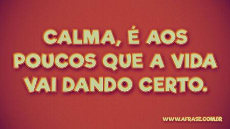 Calma, é aos poucos que a vida vai dando certo.