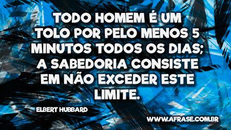 Todo homem é um tolo por pelo menos 5 minutos todos os dias; a sabedoria consiste em não exceder este limite.