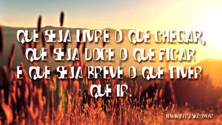 Que seja livre o que chegar, que seja doce o que ficar e que seja breve o que tiver que ir.