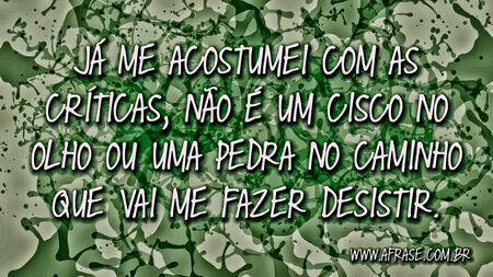 Já me acostumei com as críticas, não é um cisco no olho ou uma pedra no caminho que vai me fazer desistir.