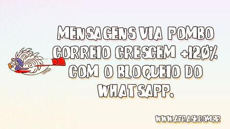 Mensagens via pombo correio crescem +120% com o bloqueio do whatsapp.