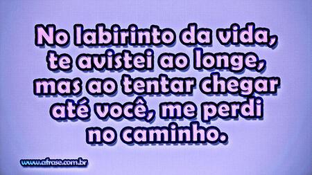No labirinto da vida, te avistei ao longe, mas ao tentar chegar até você, me perdi no caminho.