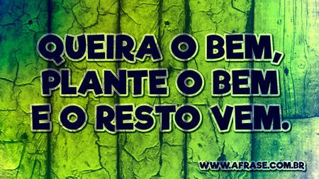 Queira o bem, plante o bem e o resto vem.