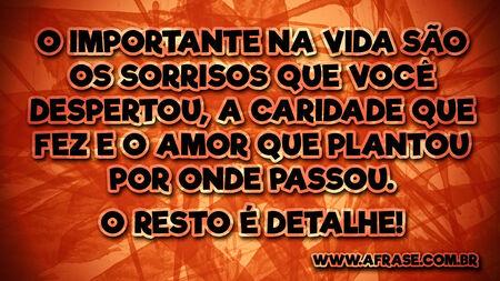 O importante na vida são os sorrisos que você despertou, a caridade que fez e o amor que plantou por onde passou.
O resto é detalhe!