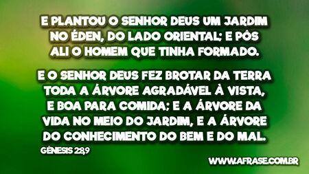 E plantou o Senhor Deus um jardim no Éden, do lado oriental; e pôs ali o homem que tinha formado.
E o Senhor Deus fez brotar da terra toda a árvore agradável à vista, e boa para comida; e a árvore da vida no meio do jardim, e a árvore do conhecimento do bem e do mal.
Gênesis 2:8,9