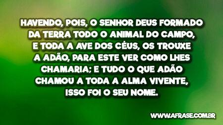 Havendo, pois, o Senhor Deus formado da terra todo o animal do campo, e toda a ave dos céus, os trouxe a Adão, para este ver como lhes chamaria; e tudo o que Adão chamou a toda a alma vivente, isso foi o seu nome.