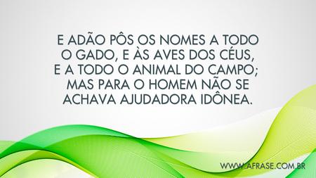 E Adão pôs os nomes a todo o gado, e às aves dos céus, e a todo o animal do campo; mas para o homem não se achava ajudadora idônea.