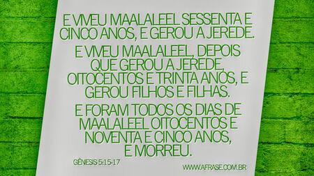E viveu Maalaleel sessenta e cinco anos, e gerou a Jerede.
E viveu Maalaleel, depois que gerou a Jerede, oitocentos e trinta anos, e gerou filhos e filhas.
E foram todos os dias de Maalaleel oitocentos e noventa e cinco anos, e morreu.
Gênesis 5:15-17