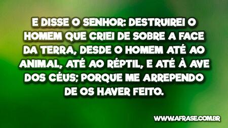 E disse o Senhor: Destruirei o homem que criei de sobre a face da terra, desde o homem até ao animal, até ao réptil, e até à ave dos céus; porque me arrependo de os haver feito.