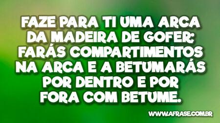 Faze para ti uma arca da madeira de gofer; farás compartimentos na arca e a betumarás por dentro e por fora com betume.