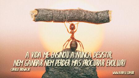 A vida me ensinou a nunca desistir, nem ganhar nem perder mas procurar evoluir!