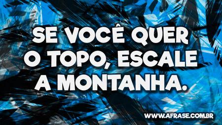 Se você quer o topo, escale a montanha.