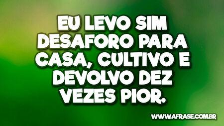 Eu levo sim desaforo para casa, cultivo e devolvo dez vezes pior.