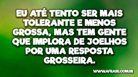 Eu até tento ser mais tolerante e menos grossa, mas tem gente que implora de joelhos por uma resposta grosseira.