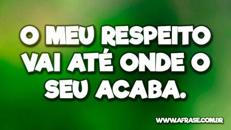O meu respeito vai até onde o seu acaba.