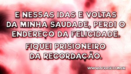 E nessas idas e voltas da minha saudade, perdi o endereço da felicidade.
Fiquei prisioneiro da recordação.