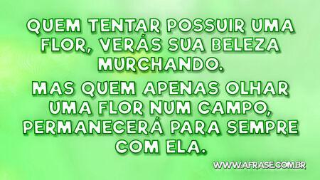 Quem tentar possuir uma flor, verás sua beleza murchando.
Mas quem apenas olhar uma flor num campo, permanecerá para sempre com ela.