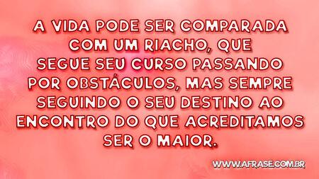 A vida pode ser comparada com um riacho, que segue seu curso passando por obstáculos, mas sempre seguindo o seu destino ao encontro do que acreditamos ser o maior.