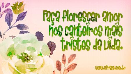 Faça florescer amor nos canteiros mais tristes da vida.