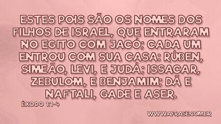 Estes pois são os nomes dos filhos de Israel, que entraram no Egito com Jacó; cada um entrou com sua casa: Rúben, Simeão, Levi, e Judá; Issacar, Zebulom, e Benjamim; Dã e Naftali, Gade e Aser.

Êxodo 1:1-4