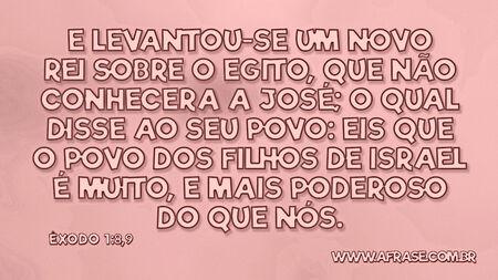 E levantou-se um novo rei sobre o Egito, que não conhecera a José; O qual disse ao seu povo: Eis que o povo dos filhos de Israel é muito, e mais poderoso do que nós.

Êxodo 1:8,9