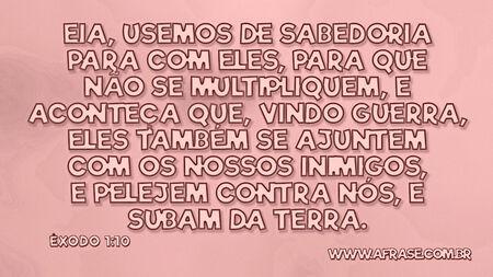 Eia, usemos de sabedoria para com eles, para que não se multipliquem, e aconteça que, vindo guerra, eles também se ajuntem com os nossos inimigos, e pelejem contra nós, e subam da terra.

Êxodo 1:10