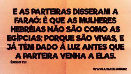 E as parteiras disseram a Faraó: É que as mulheres hebréias não são como as egípcias; porque são vivas, e já têm dado à luz antes que a parteira venha a elas.
Êxodo 1:19
