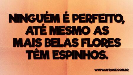 Ninguém é perfeito, até mesmo as mais belas flores têm espinhos.